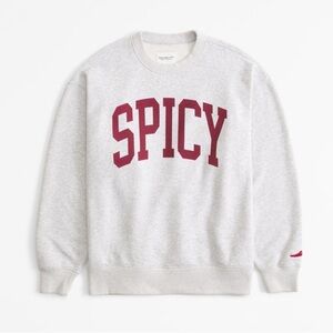 Abercrombie and Fitch Spicy 🌶️ Sweatshirt